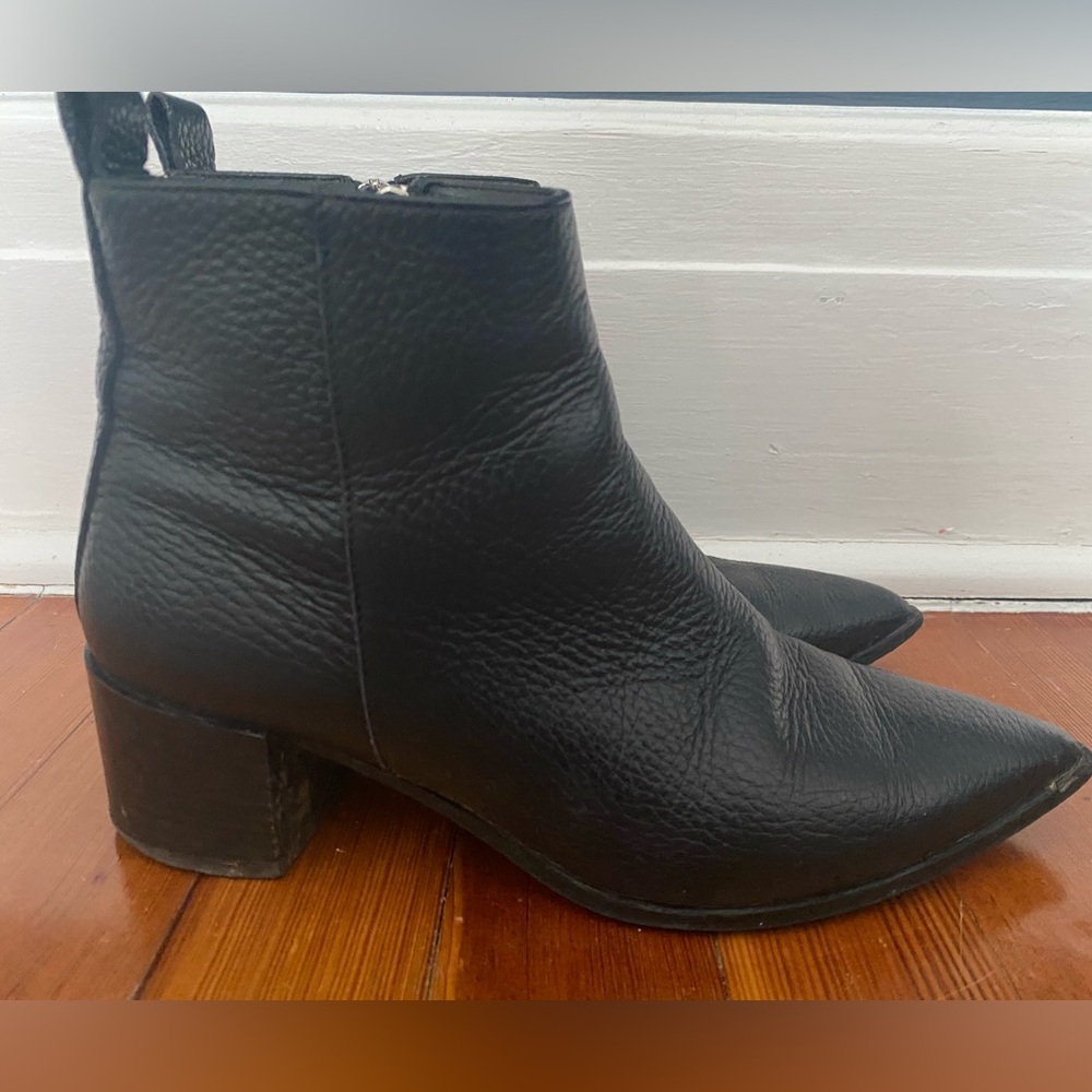 Everlane Black Ankle Boots with Pointed Toe and Block Heel